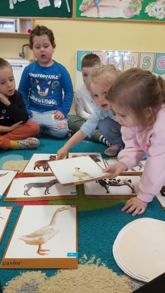 Marzec u Żabek - 26 marca