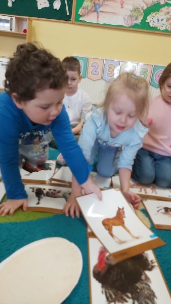 Marzec u Żabek - 26 marca