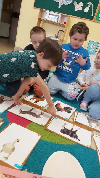 Marzec u Żabek - 26 marca