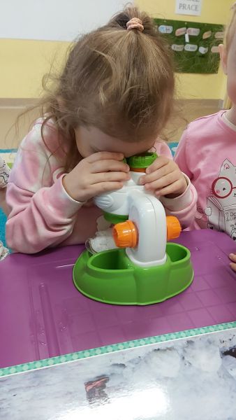 Nowy Rok 2026 u Lisków - 12 stycznia